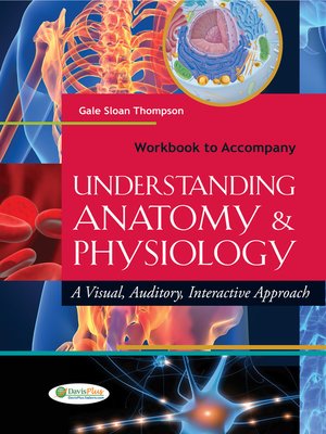 workbook to accompany understanding anatomy and physiology pdf